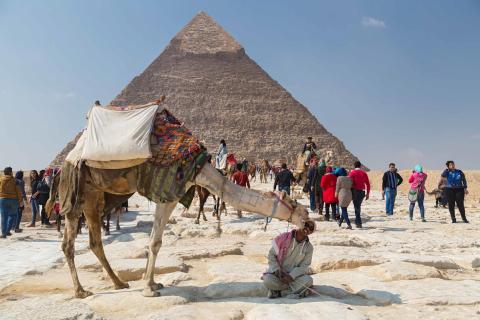  Travel: Camel licking local guide in front of the Great Pyramids of Giza in Egypt.